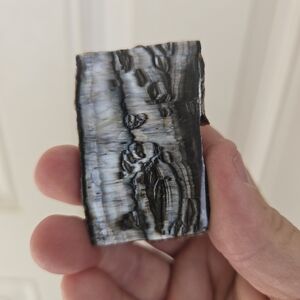 Arizona Pietersite